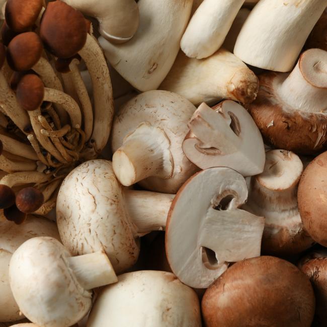 Gecultiveerde paddenstoelen